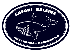 logo safari baleine