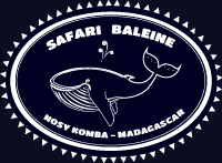 Logo bas de page