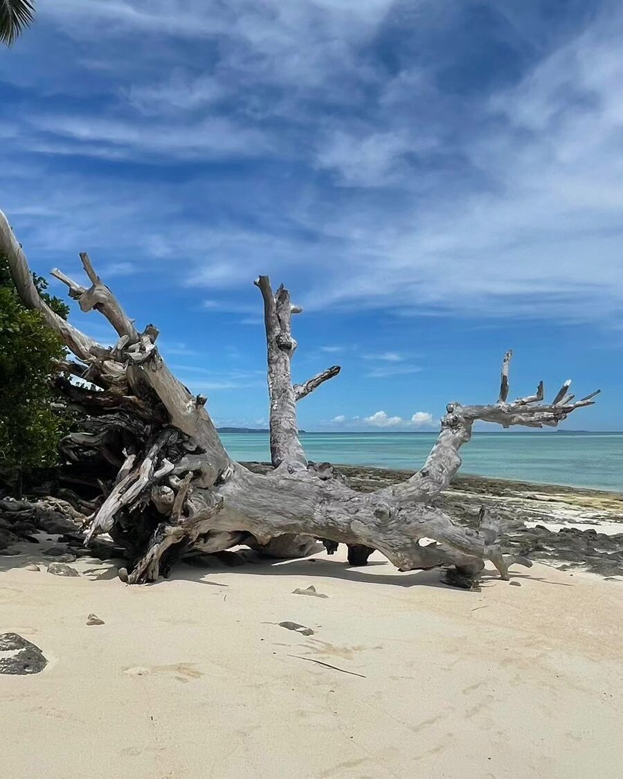 Hidden treasure of Madagascar