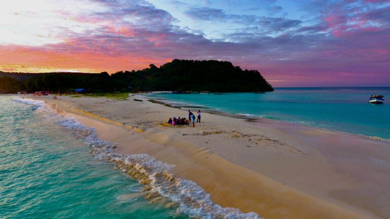 Whale Watching in Madagascar: Complete Nosy Be Guide