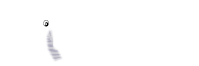 Safari Baleine