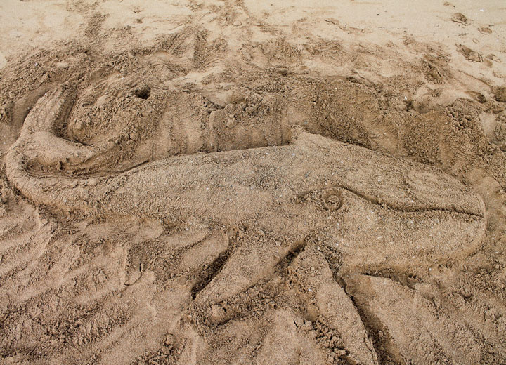 baleine dans le sable